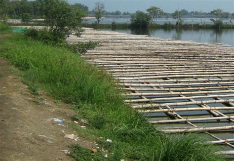 camanava meaning|Manila, Camanava down to ‘moderate risk’ .